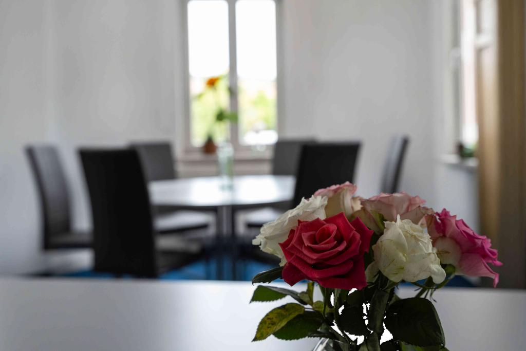 verschwommener-Blick-in-den-Erker-mit-Rosenstrauch-im-rechten-Vordergrund